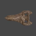 Ancient Dinosaur Skull Fossil With Sharp Teeth And Detailed Bone Structure 3d model