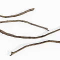 Natural Dry Wooden Branches for Rustic Home Decor Craft Projects