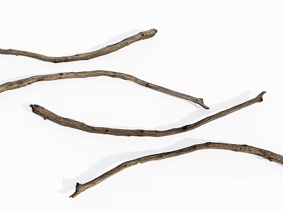 Natural Dry Wooden Branches for Rustic Home Decor Craft Projects 3d model