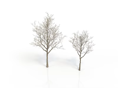 Two Bare Trees With Textured Trunks 3D Rendering On White Background 3d model