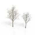 Two Bare Trees With Textured Trunks 3D Rendering On White Background