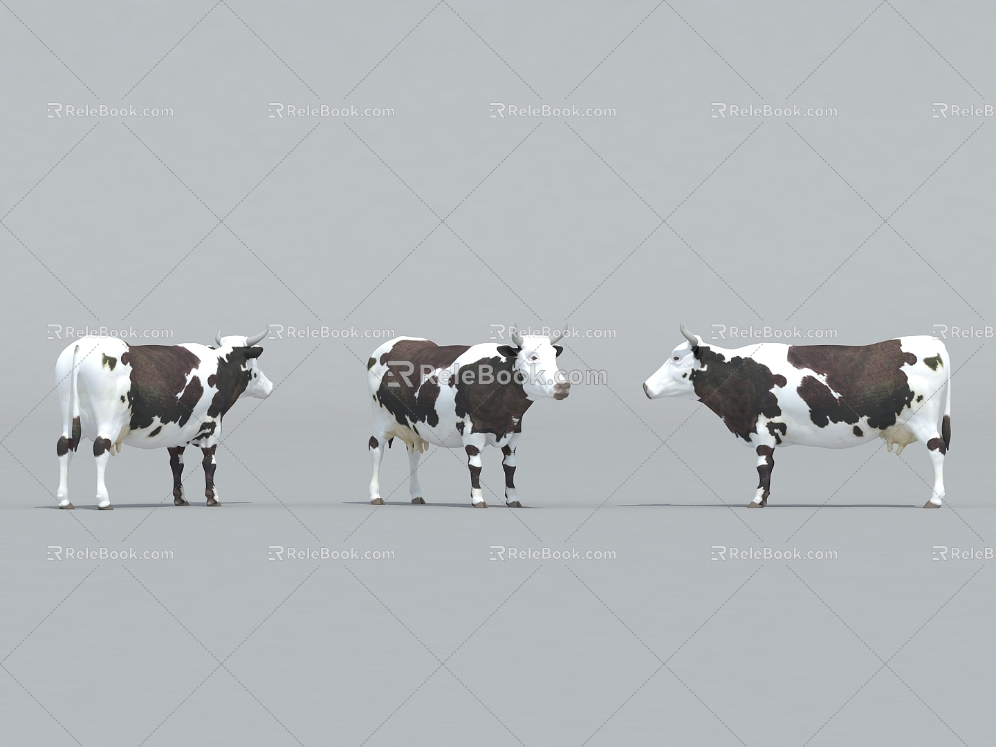 Livestock Cow Cow Cow 3d model