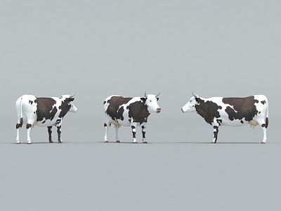 Livestock Cow model