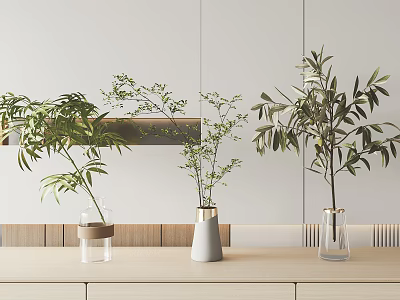 Three Decorative Vases With Green Plants On Wooden Countertop And Minimalist White Wall 3d model