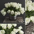 White Roses In Striped Metal Vase With Green Leaves And Cloth Background
