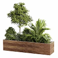 Rustic Wooden Rectangular Planter With Assorted Lush Green Plants For Modern Outdoor Garden Landscape Decoration