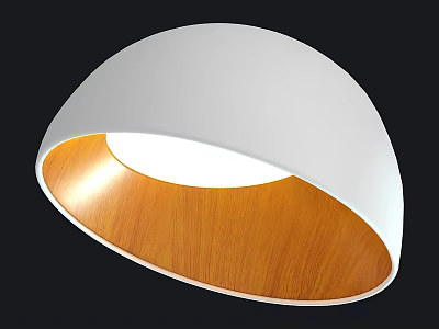 Modern White Dome Ceiling Light With Wooden Inner Illuminating Design 3d model