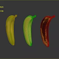 Three Bananas at Different Ripening Stages Green Yellow and Brown Spots