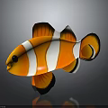 Clownfish 3D Model Featuring Orange White Stripes And Black Edges Fins With Reflection