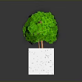 Lush Green Plant with White Speckled Square Planter on Gray Background