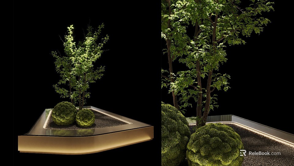 Elegant Bonsai Potted Plants With Decorative Green Foliage And Illuminated Base Platform 3d model 