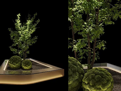 Elegant Bonsai Potted Plants With Decorative Green Foliage And Illuminated Base Platform 3d model