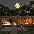 Single Family House with Large Windows Lit Interior Full Moon Night Garden Courtyard Among Trees