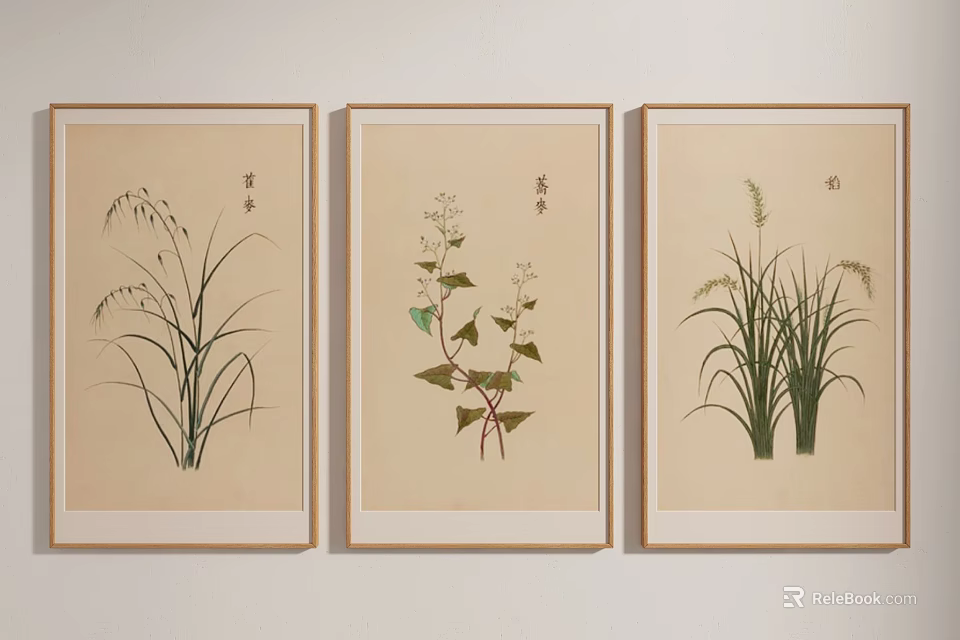 Three Framed Botanical Paintings Featuring Different Plants In Light Wooden Frames On Wall 3d model 