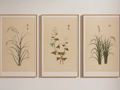 Three Framed Botanical Paintings Featuring Different Plants In Light Wooden Frames On Wall 3d model