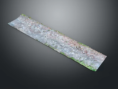 Detailed Elongated Terrain Model With Green Gray Textures Vegetation And Surface Covering 3d model