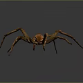 Brown Spider With Long Legs And Distinct Abdomen On Gray Background 3d model