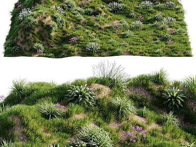 Green Grassland with Lush Plants Purple Small Flowers and Various Herb Species 3d model