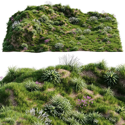 Green Grassland with Lush Plants Purple Small Flowers and Various Herb Species 3d model