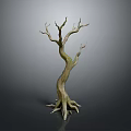 Ornamental Dried Tree Decor With Twisted Trunk Bare Branches And Exposed Roots