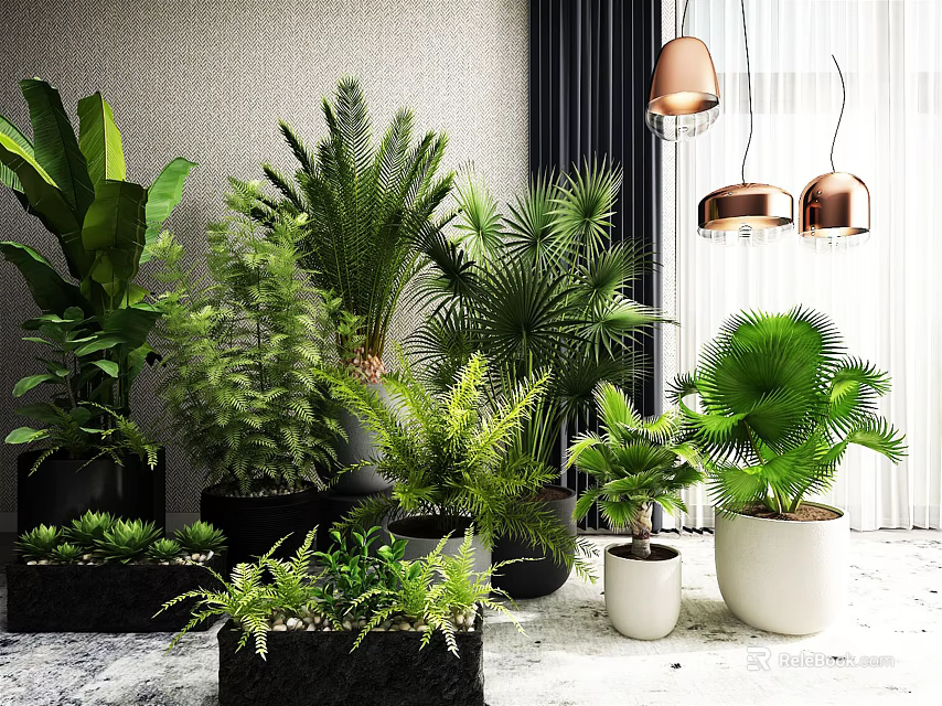 Various Green Bonsai Potted Plants In Black And White Ceramic Planters For Indoor Decoration 3d model 