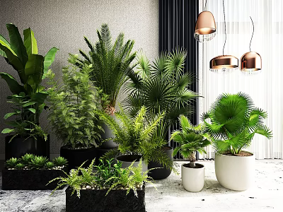 Various Green Bonsai Potted Plants In Black And White Ceramic Planters For Indoor Decoration 3d model