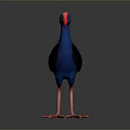 Blue And Black Bird With Red Beak And Red Legs 3D Rendered On Gray Background