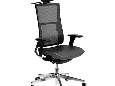 Black Office Chair With Mesh Back Armrests And Silver Five Star Caster Base 3d model