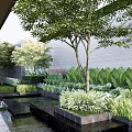 Modern Courtyard Garden Design With Tree Water Pond And Lush Greenery