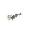 Various Arbor Trees With Different Heights Lush Green Leaves And Natural Shapes For Landscaping Use