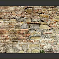 Architectural Brick Wall With Various Colored Bricks Weathered Texture And Small Green Plant