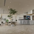 Modern Lobby Front Desk Reception With Large Windows Natural Light And Green Plants