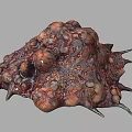 Reddish Brown Biological Tissue Structure With Bulbous Vesicles And Green Spines