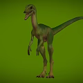 Bird-like Dragon Hunting Dragon Velociraptor Chinese Dragon Bird Microraptor Dinosaur Jurassic Low Face Number Low Model Simple Model Game Movie Level Super Realistic 3d model