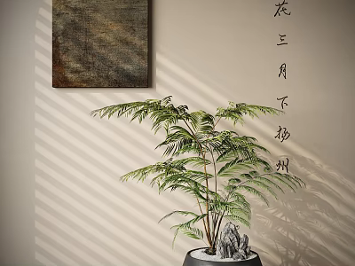 Bonsai Fern Plant in Black Pot with Stones Against Wall with Hanging Painting and Shadows 3d model
