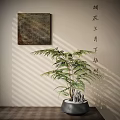 Bonsai Fern Plant in Black Pot with Stones Against Wall with Hanging Painting and Shadows