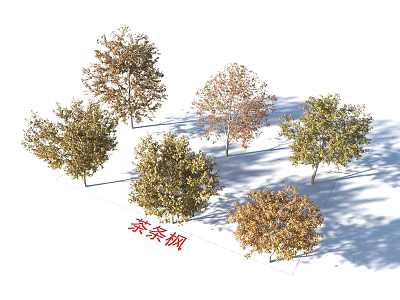 Group of Sunlit Autumn Trees With Yellow Brown Leaves and Natural Shadows 3d model