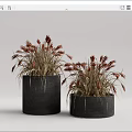 Bonsai Potted Plants With Red Yellow Spikes In Dark Gray Cylindrical Pots