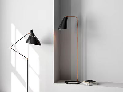 Modern Minimalist Floor Lamps In Black And Copper For Interior Corner Decor 3d model