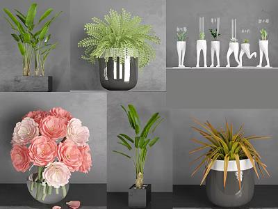 Decorative Potted Bonsai and Various Plants in Stylish Gray and White Pots 3d model