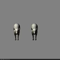 White Sheep Displayed In Four Different Angles Front And Side Views