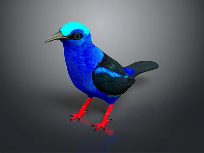 Vibrant Blue Bird With Blue Head Black Wings Tail And Red Legs On Gray Background 3d model