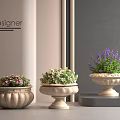 Vibrant Mixed Flowers in Decorative Planters Showcased in Designer Interior Studio