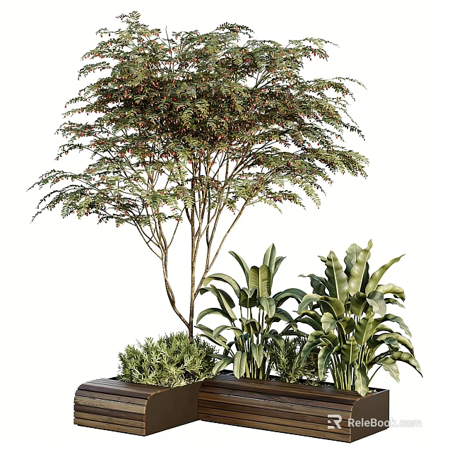 Rectangular Tree Planter with Lush Foliage Tree and Various Green Plants 3d model 