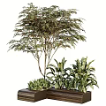 Rectangular Tree Planter with Lush Foliage Tree and Various Green Plants