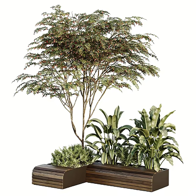 Rectangular Tree Planter with Lush Foliage Tree and Various Green Plants 3d model