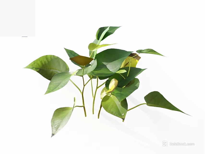Fresh Green Foliage With Vibrant Leaves And Healthy Stems Isolated On White Background 3d model 