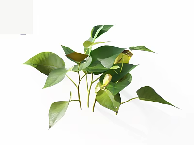 Fresh Green Foliage With Vibrant Leaves And Healthy Stems Isolated On White Background 3d model