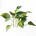 Fresh Green Foliage With Vibrant Leaves And Healthy Stems Isolated On White Background