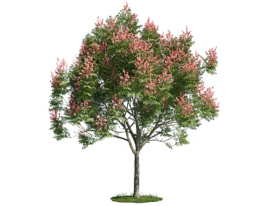 Tall Arbor With Green Leaves And Pink Flowers Standing On Green Grass 3d model